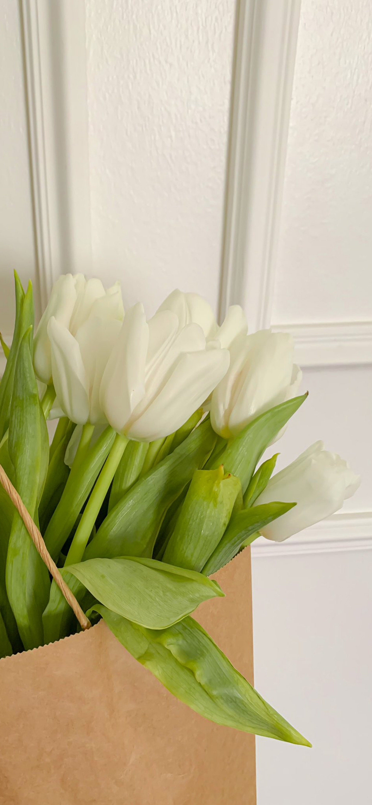 精选优质高清手机壁纸第十七期,好看的手机壁纸分享第二弹