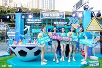 世界杯之夜足球热情点燃,世界杯足球球迷疯狂时刻