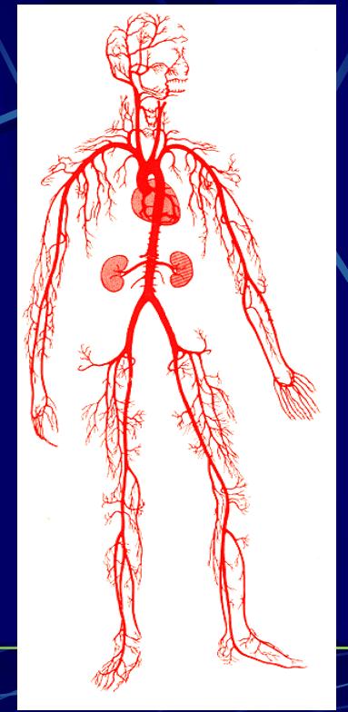 35岁男性体检必查项目,男性37岁体检检查哪些项目
