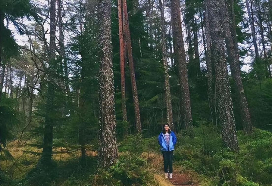 美国亚裔28岁女子被杀,29岁华裔女子美国被杀