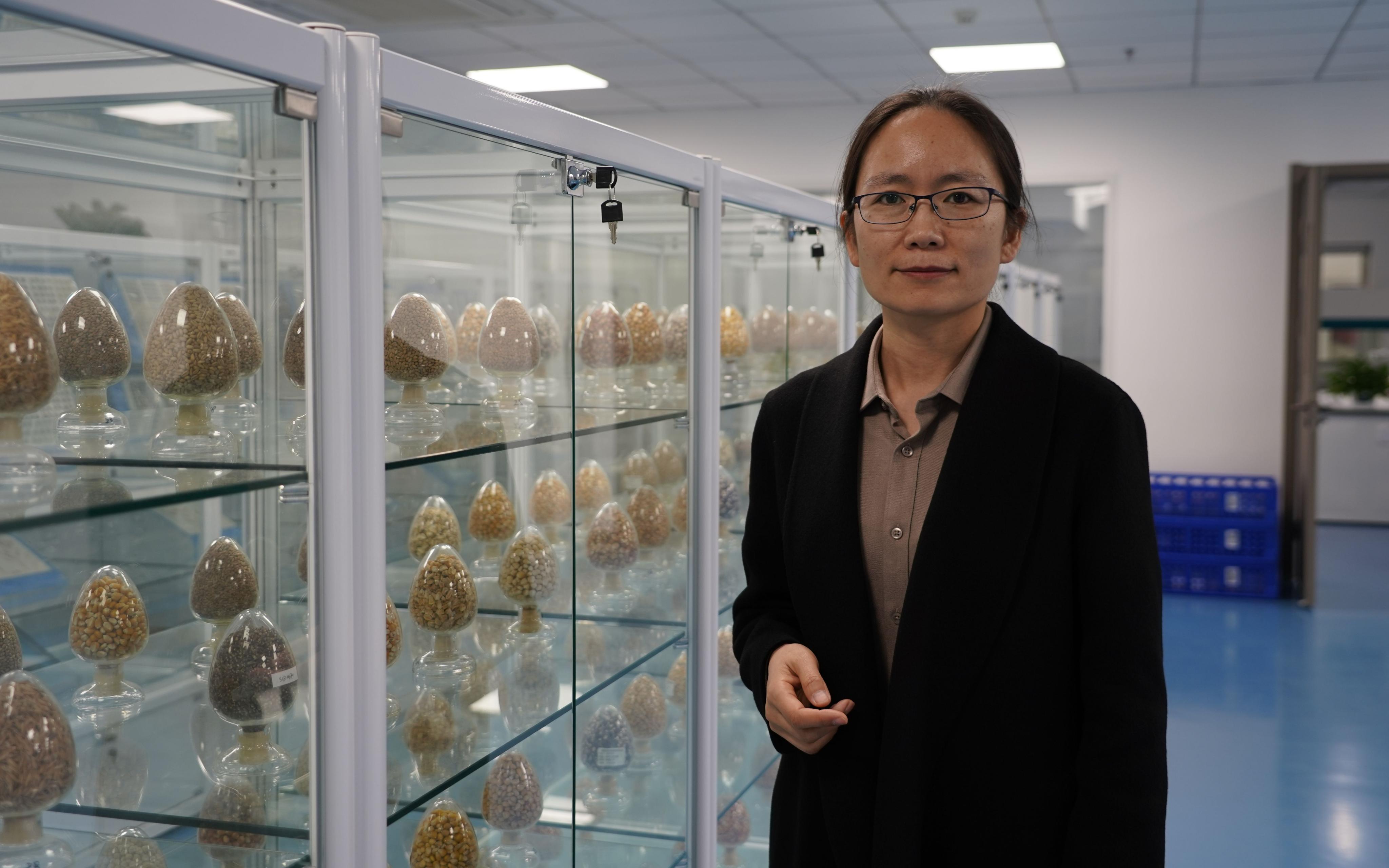 探访全球容量最大的作物“种子银行”种质库2.0是什么样的