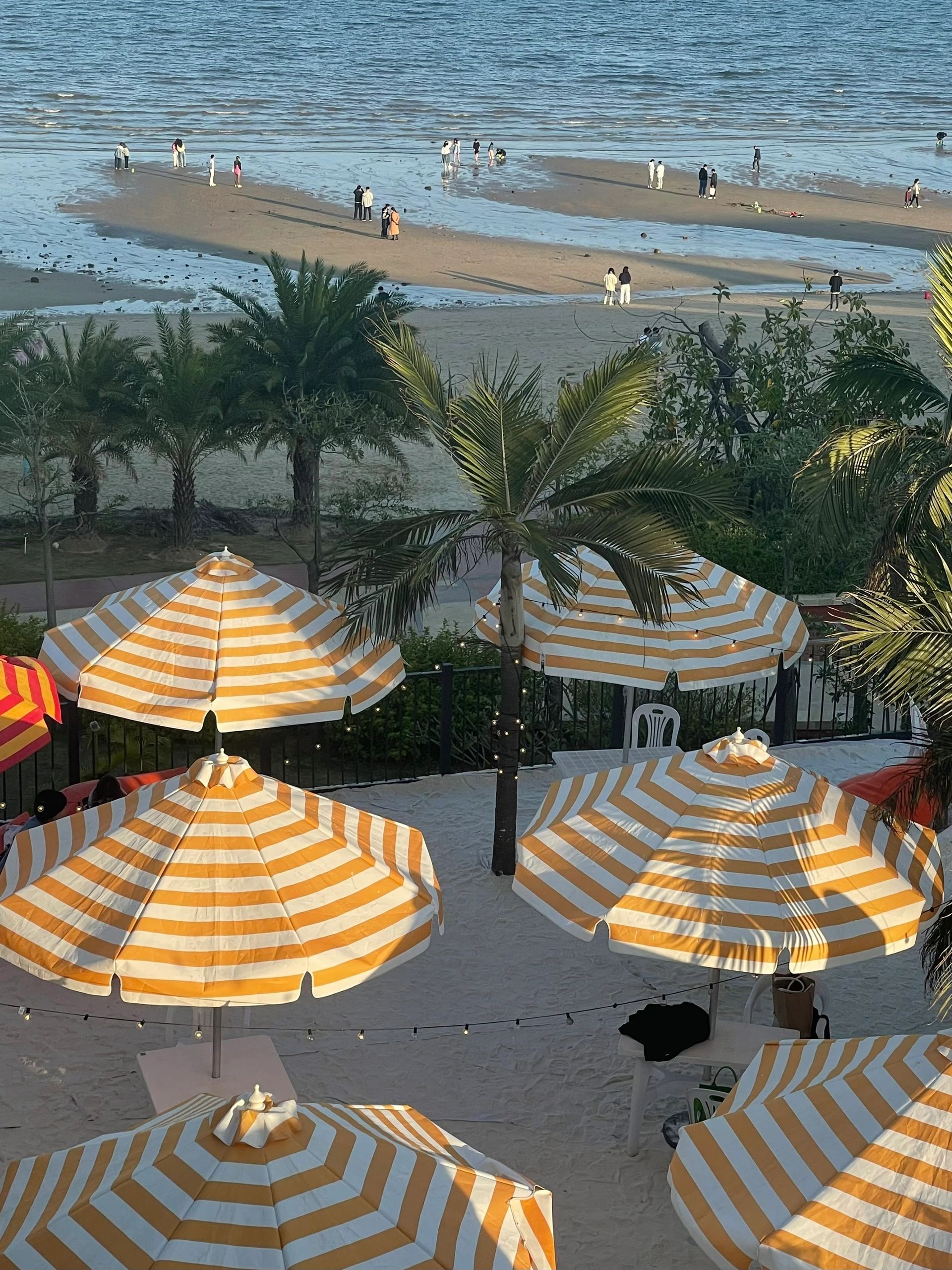 厦门旅游十大防坑建议,去厦门一定要去的地方时间安排