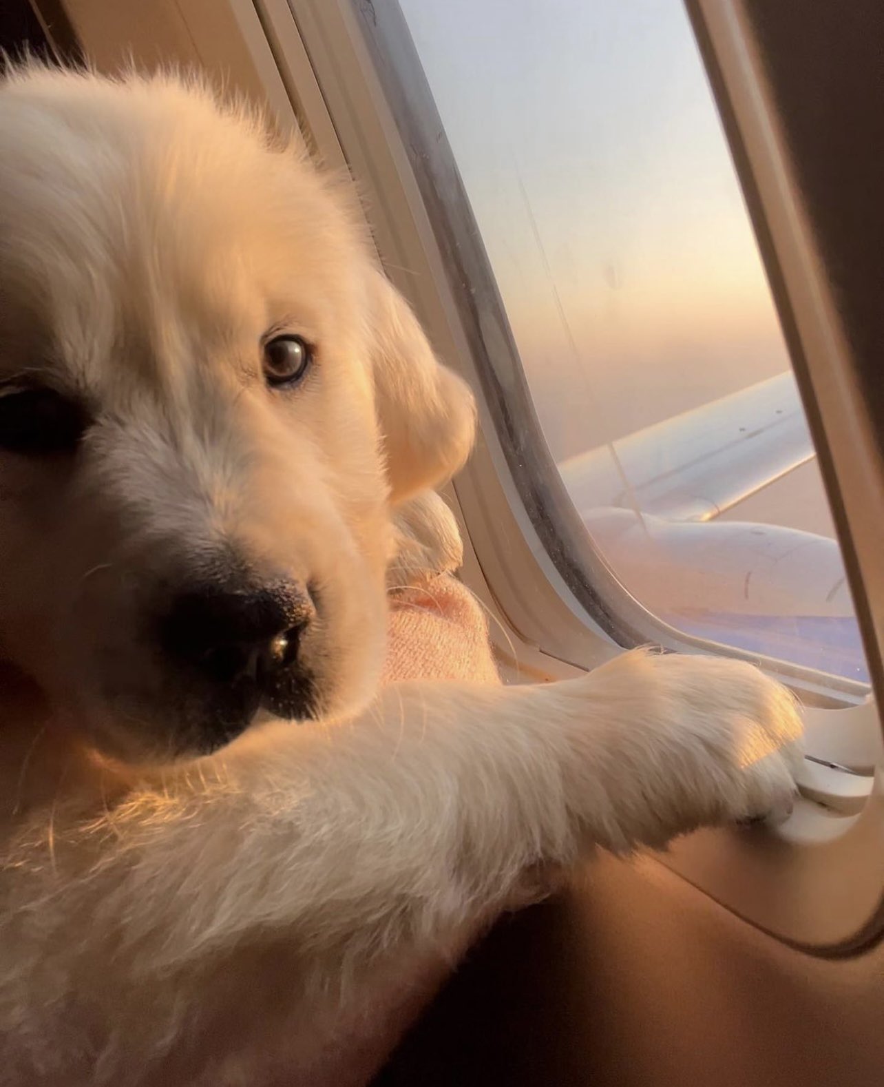 缇庡浗灏忓摜鐐硅瘎瑙嗛,缇庡浗灏忓摜鐐硅瘎