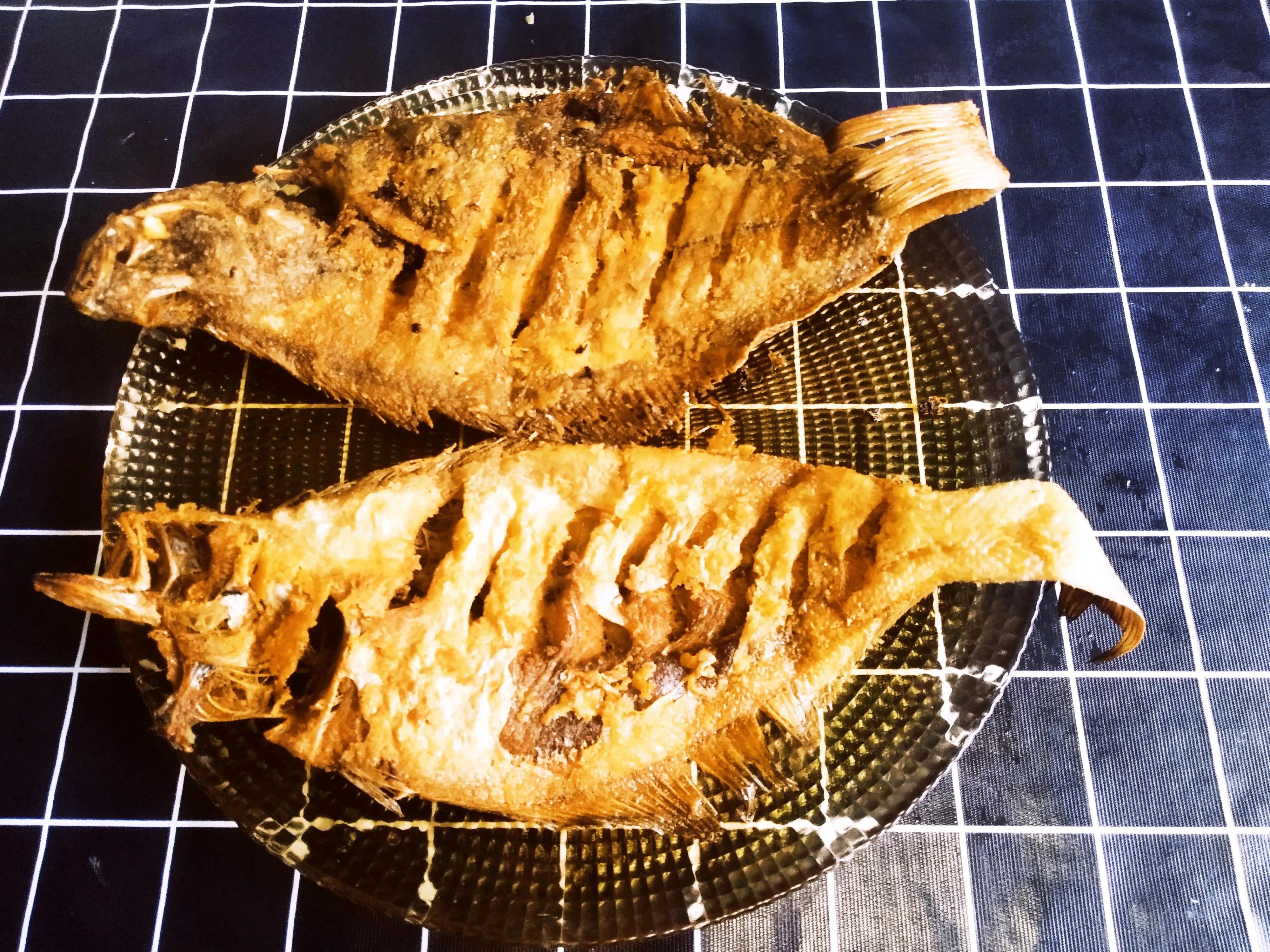 15种常见的海鱼,100种常见食用海鱼图谱