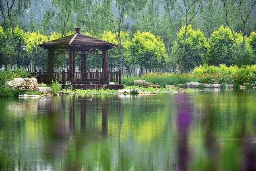 津北森林公园怎么样值得去吗,天津新晋森林主题公园