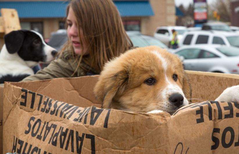无条件的爱的意义,球王贝利这个故事告诉我们什么