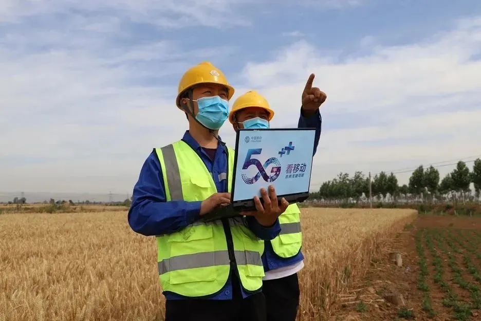 悬念揭晓在即,悬念揭晓视频