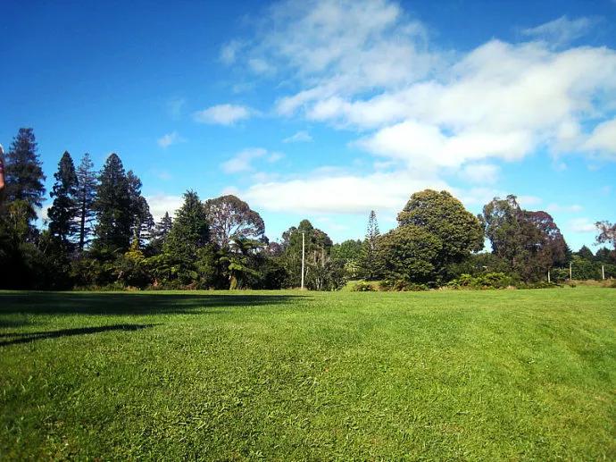 绿草自然风景图片,惊艳高清山水花草风景图片
