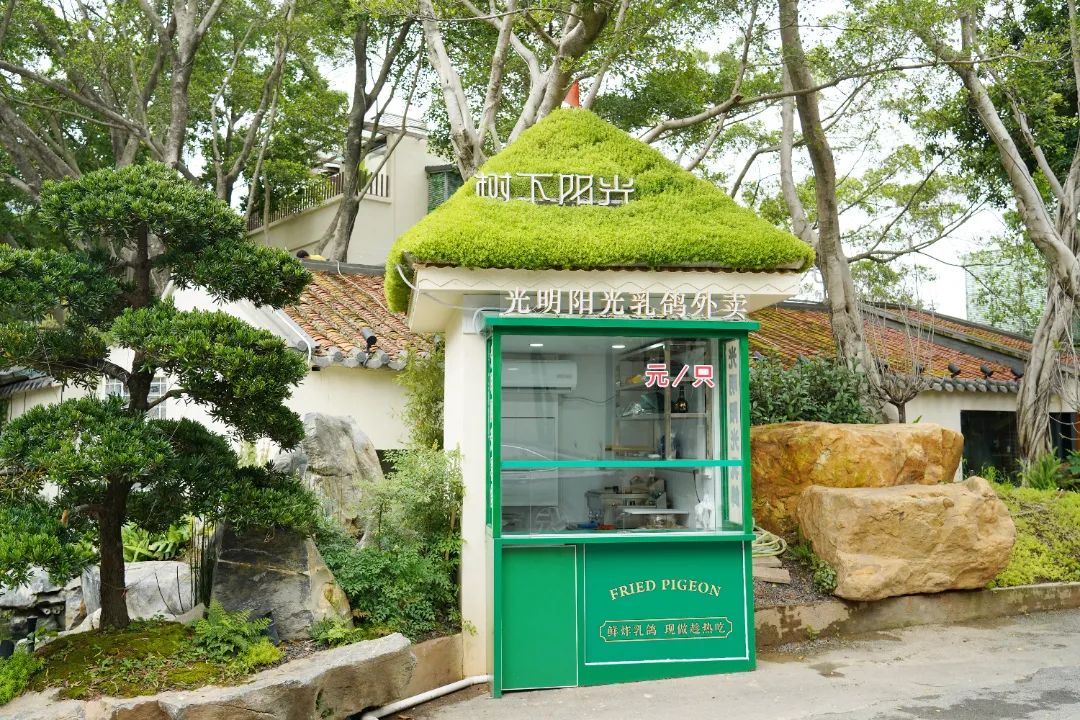 徒步露营带什么好吃的美食,旅行美食露营总有一款能治愈