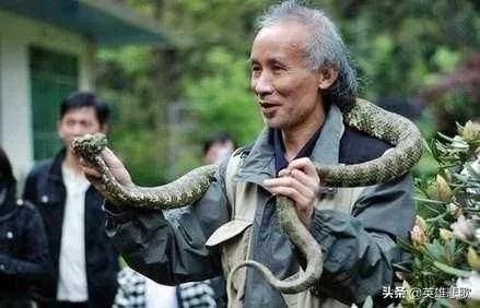 莽山烙铁头17.7公斤是真的吗,莽山烙铁头5000一条是真的吗