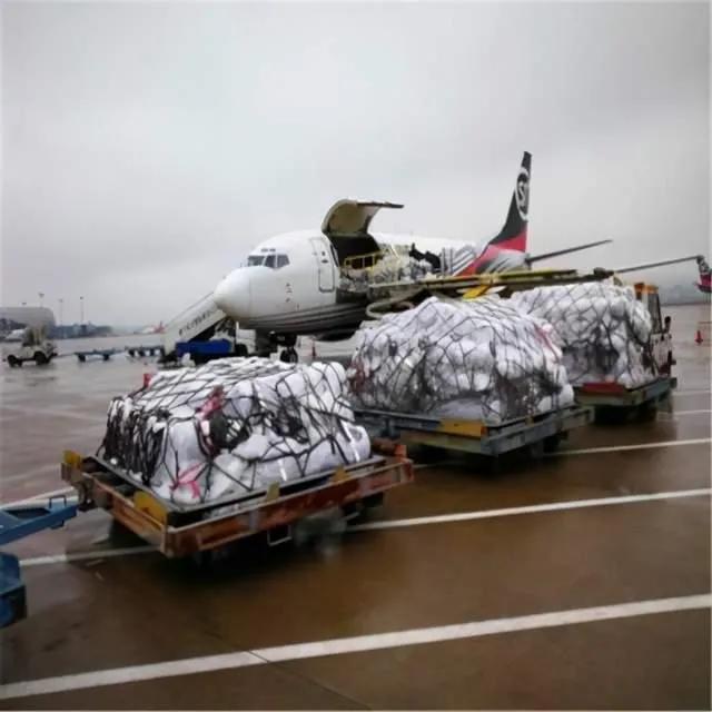 你不知道的国家冷知识新西兰篇,新西兰的20则冷知识大百科