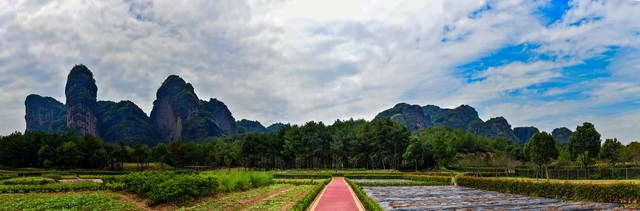 成全是一种智慧,万物的智慧