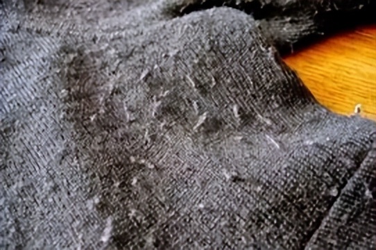 生活小技巧十个小妙招有哪些,生活小窍门100个必备小妙招