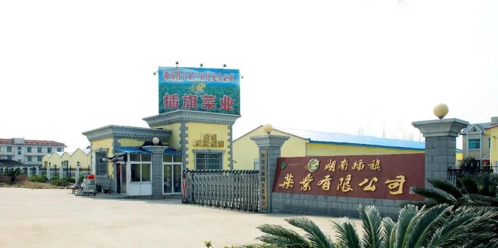 售假被查,315严查售假