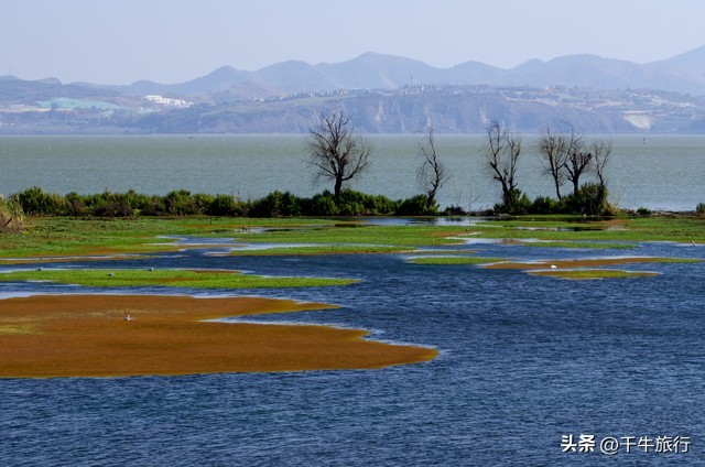 云南10个神奇景点攻略,云南丽江打卡必去景点