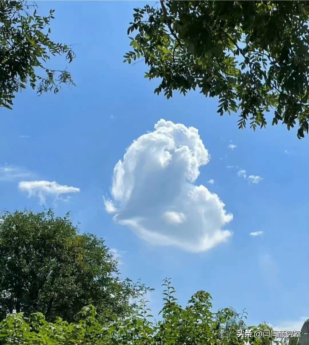 微信置顶文案高级伤感,微信置顶文案短句干净初心