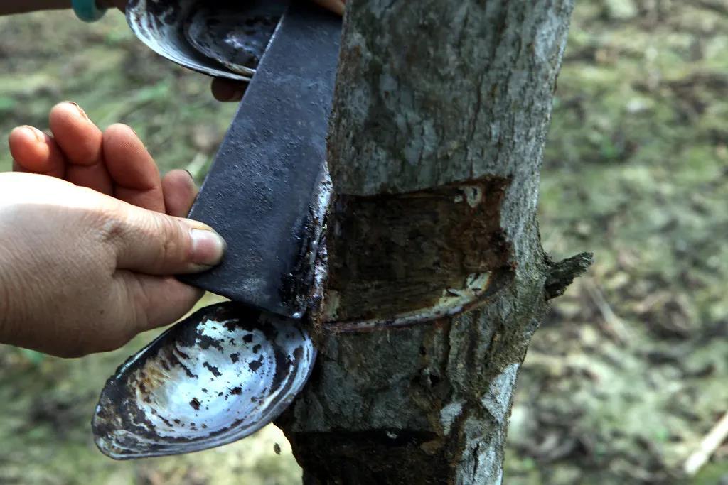 有毒树浆+海鲜废料，成我国传世万年国宝，日本耗费百年仿造
