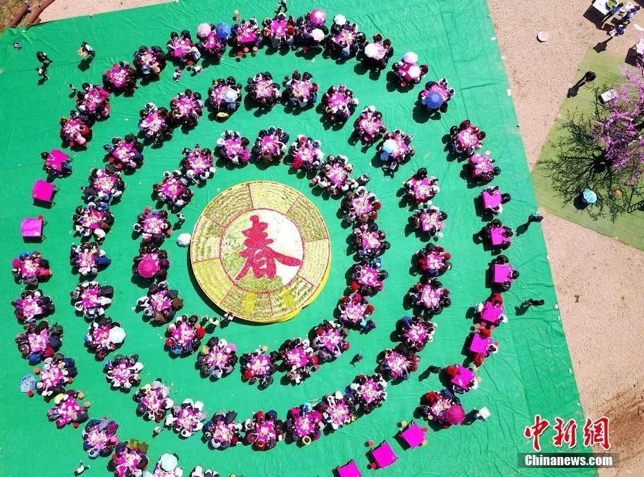 二十四节气从立春开始到大寒,二十四节气歌立春大雪