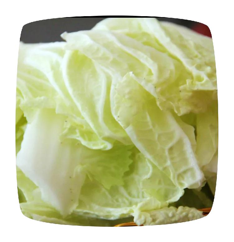 白菜还是大白菜,大白菜白菜甘蓝