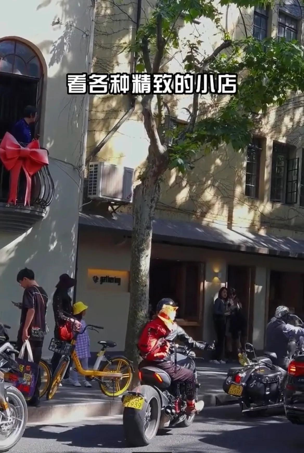 带孩子上海值得玩的景点,上海奉贤旅游景点推荐