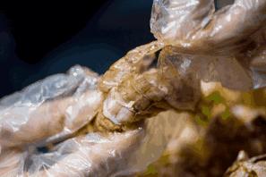 秦皇岛开海海鲜图片,开海后的生猛海鲜已抵达秦皇岛