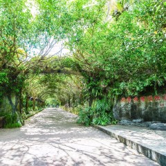 海南东海岸全攻略,海口万宁三亚的景点推荐