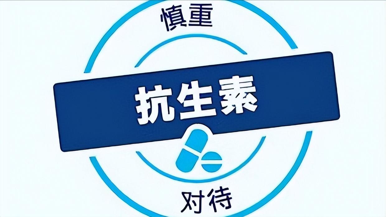 头孢和阿莫西林都是抗生素吗,头孢阿莫西林阿奇霉素有什么区别