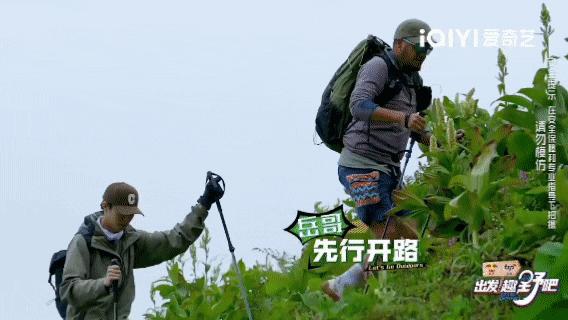 行业的显眼包,行业显眼包