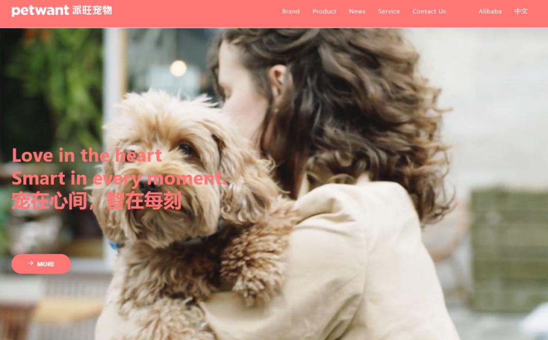 宠物小饭碗,小宠物喂食器