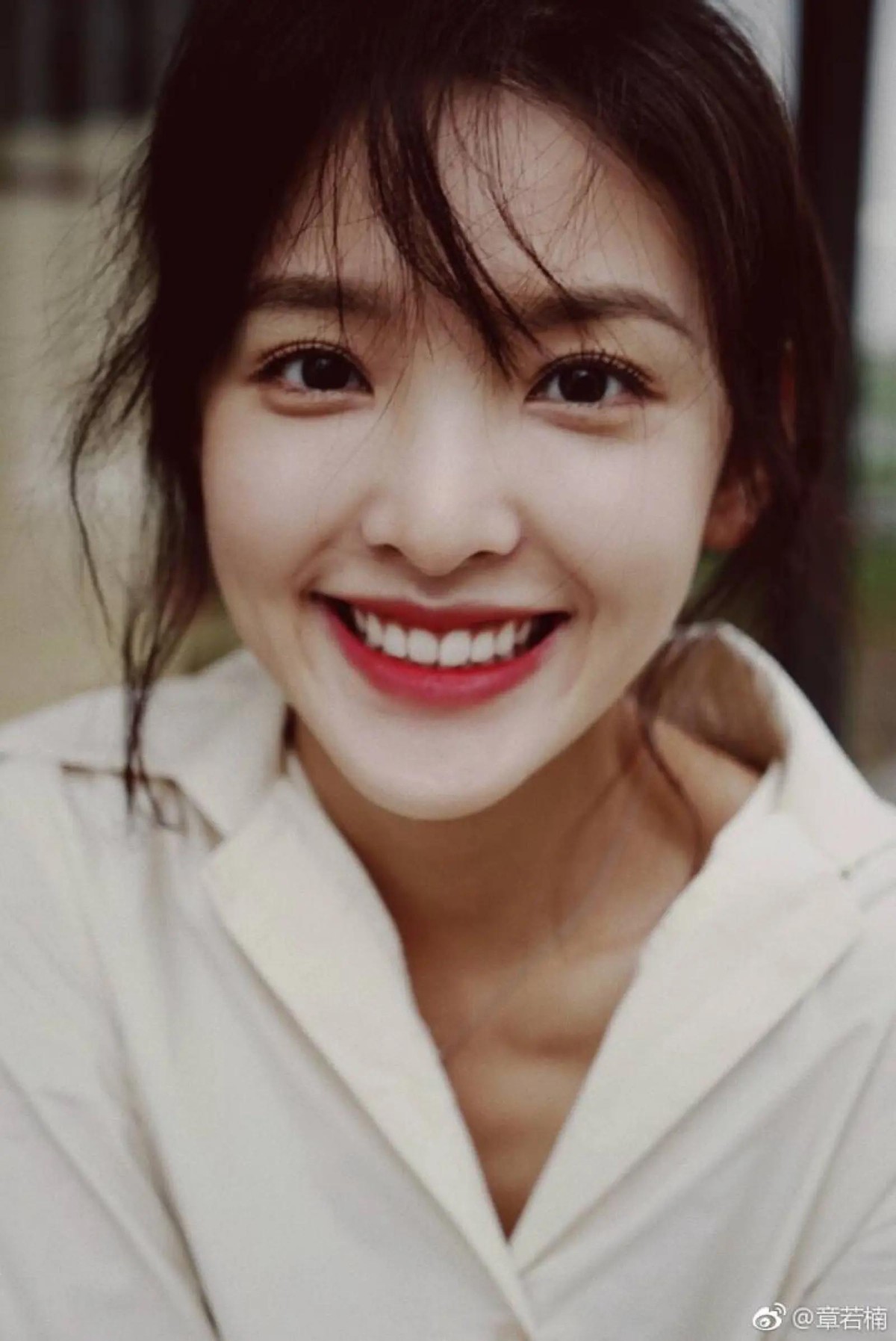 娱乐圈的白月光们有哪些共同点,娱乐圈白月光有哪些