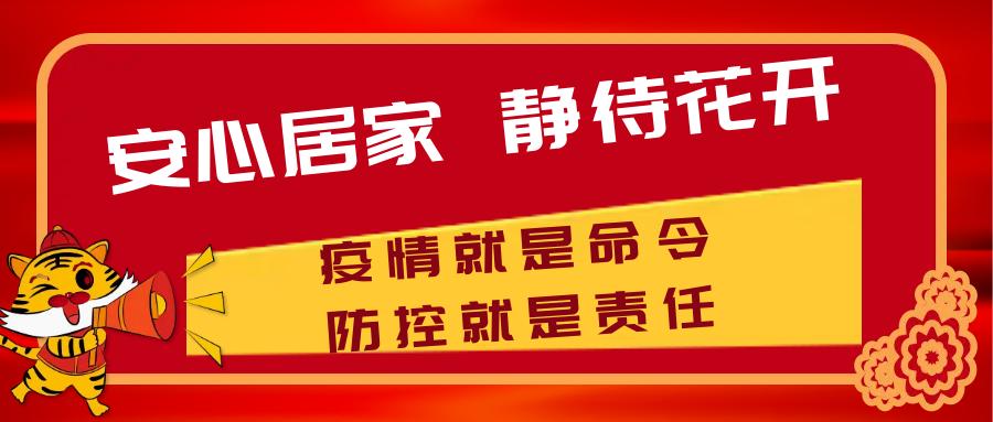 疫情防控志愿巡查宣传活动,疫情防控志愿者深入乡镇村屯排查