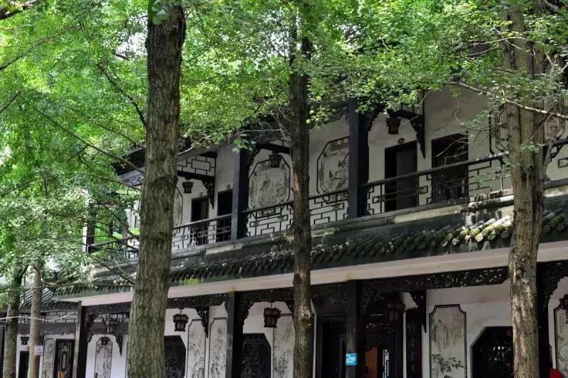 逛吃逛吃逛吃，跟着动车出发3.0