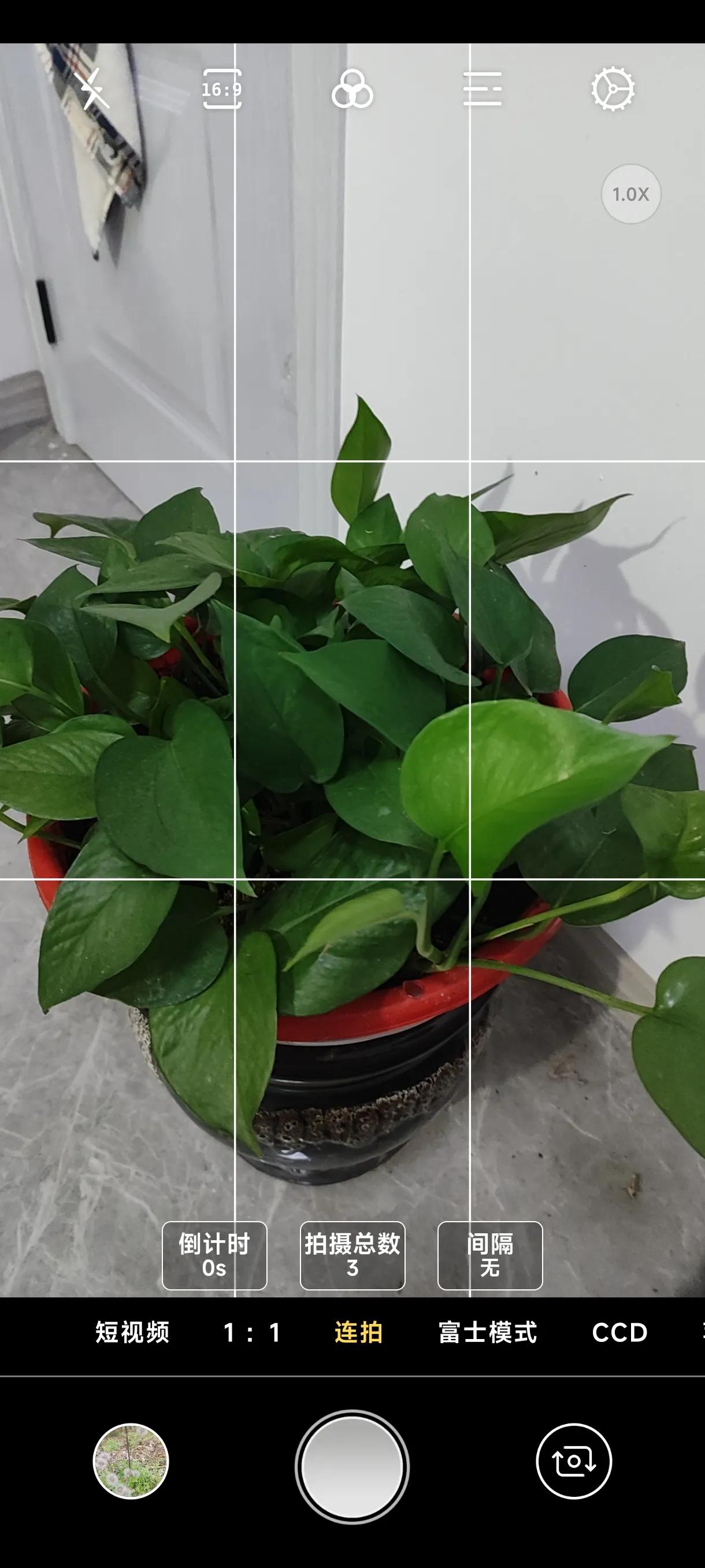 免费拍照翻译软件app下载,可拍照识别植物的免费软件