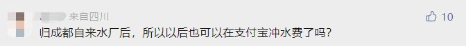 天府新区岷江自来水,天府新区自来水一体化改造