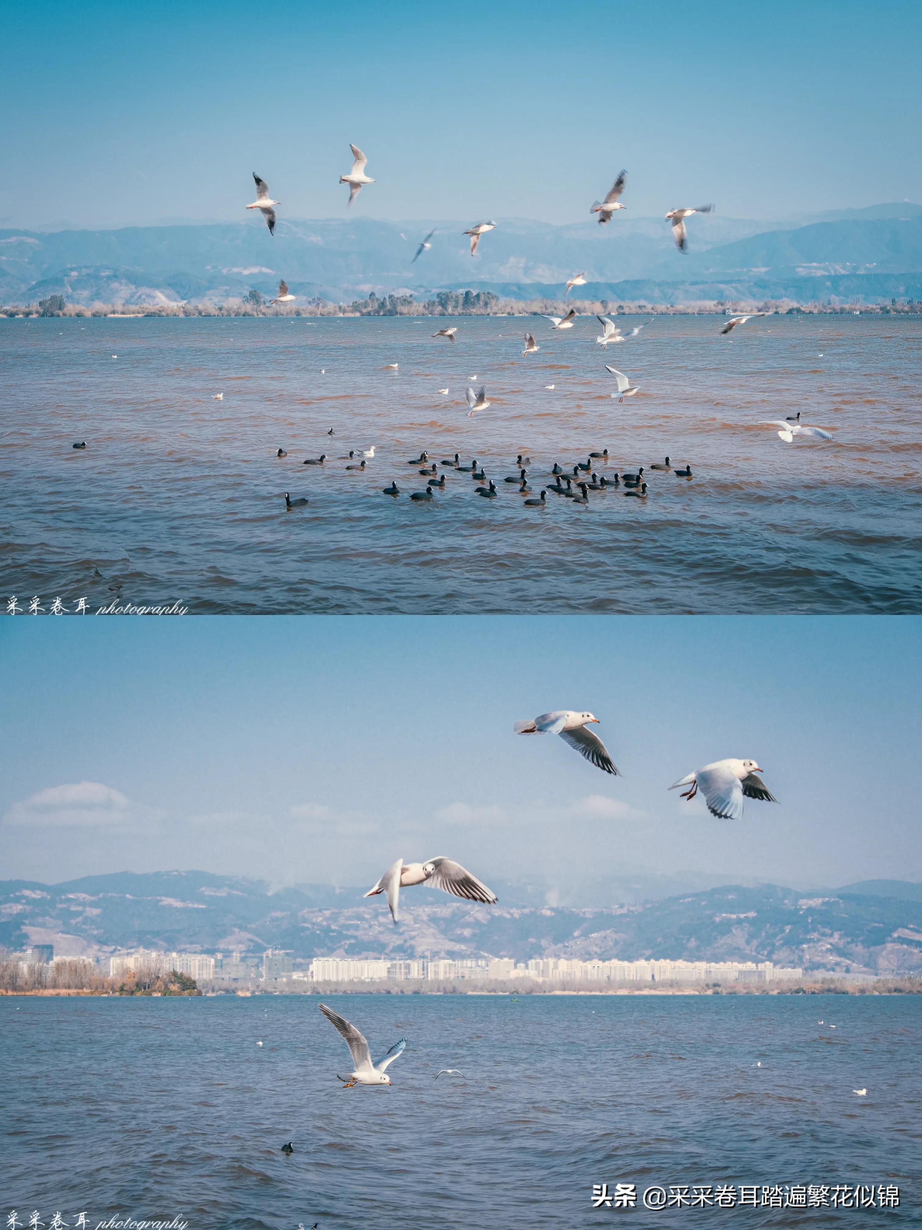 重庆自驾西昌邛海,西昌邛海环湖自驾游攻略
