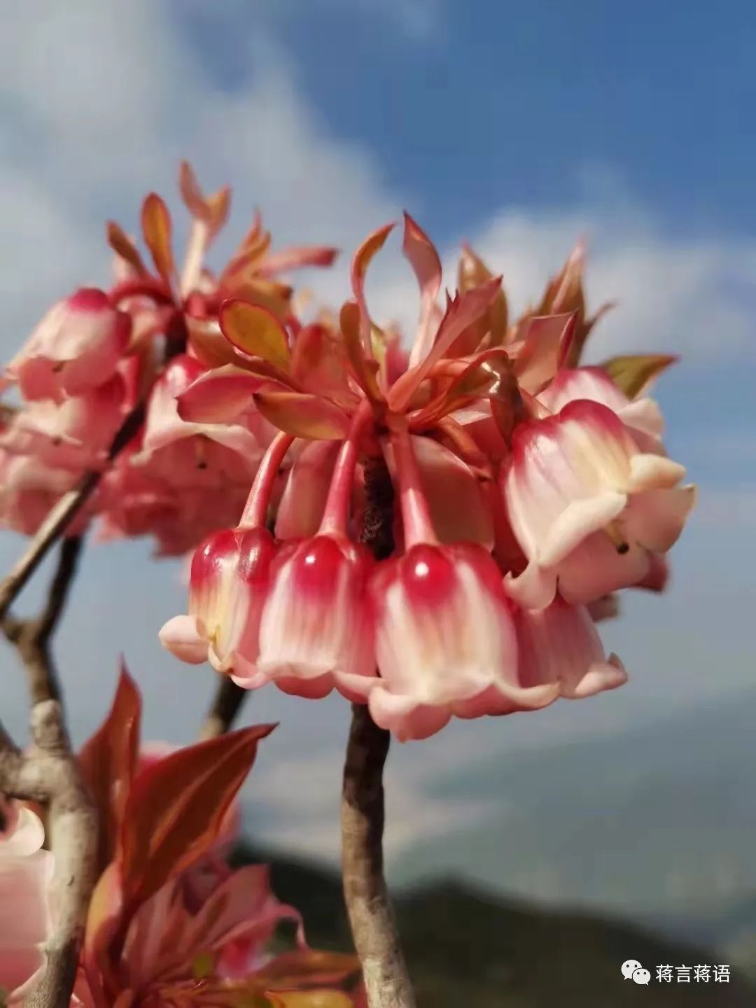 遇见拖延症的孩子怎么办,遇到孩子厌学怎么沟通