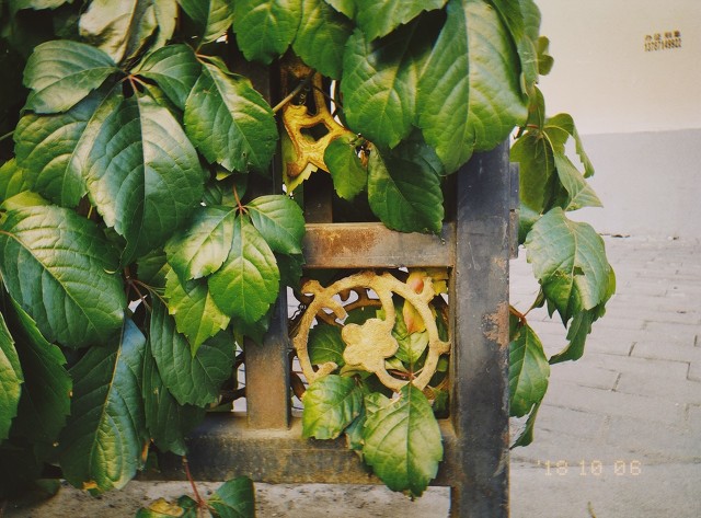 电商文案写作技巧有哪些内容,电商文案的写作步骤是怎样的