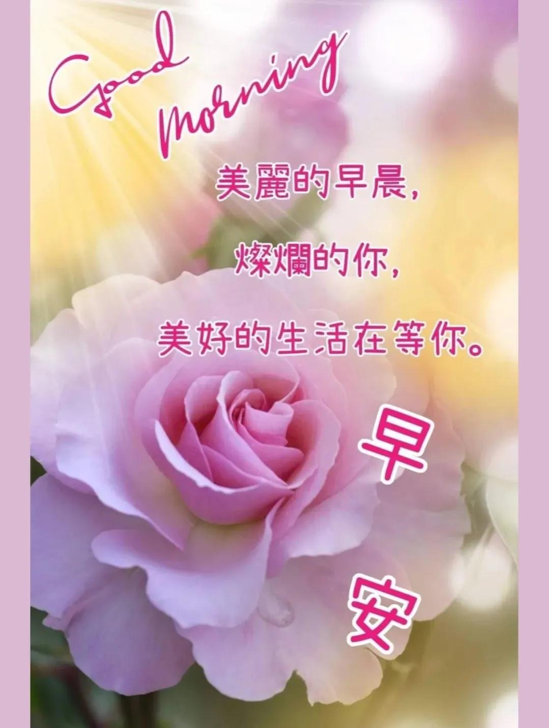 早安励志正能量短句早安图片,早安励志正能量短句早安问候图