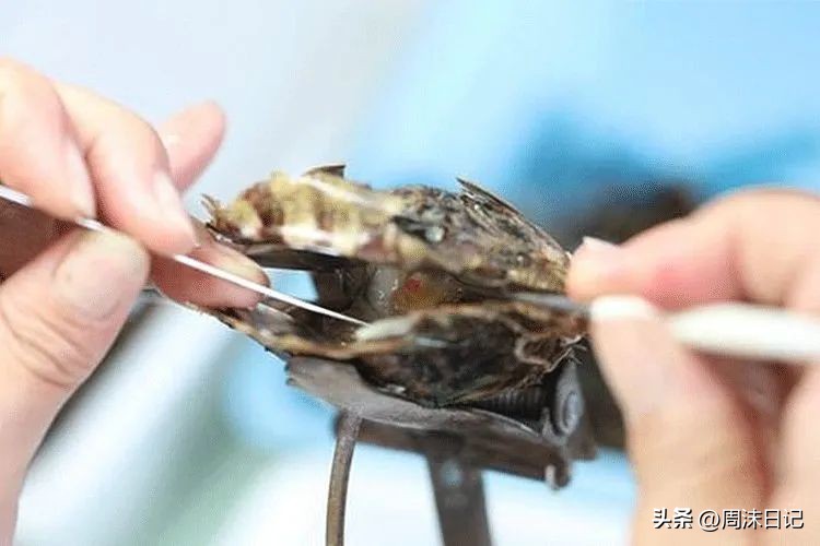 30岁适合戴什么样的珍珠,细长脖子适合戴什么样的珍珠