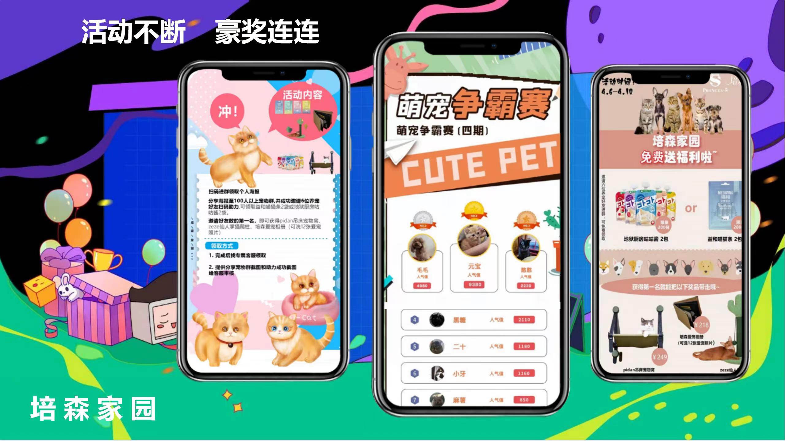 荷兰猪是个什么类型的猪呢,荷兰猪被误认为兔子