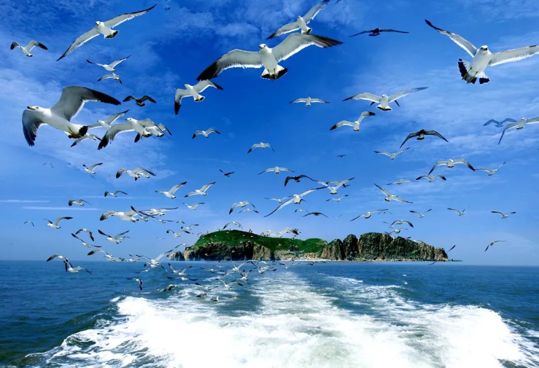 519中国旅游日福建主题,山东夏季旅游海岛