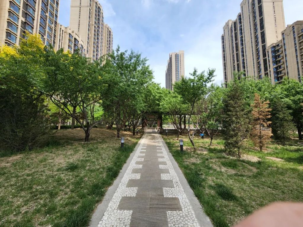 谁是影像机皇,谁才是手机机皇