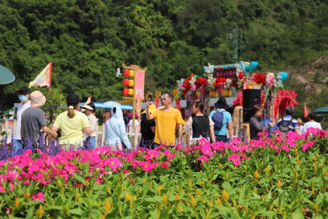 观音山森林公园停车攻略,自驾观音山停车