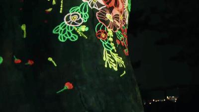 分享美景行走山水间,分享夜晚美景记录生活