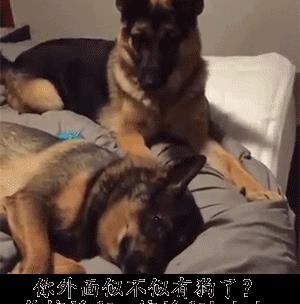 塞进去容易拔出来难,妹子着急死了哈哈哈哈哈哈！真的尴尬啊