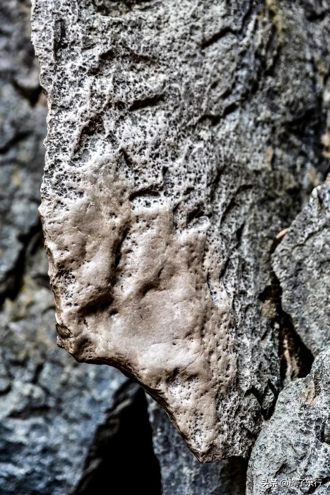 世界自然遗产云南石林,云南石林亿万年形成的地质奇观