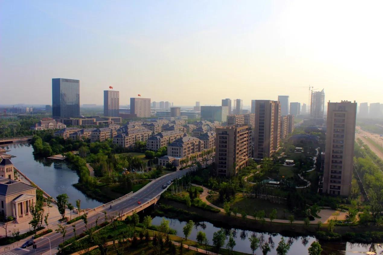 绿城的运动,绿城运动