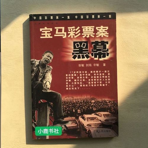 2004年，西安即开型彩票大奖被安排的托搞砸了，揭开了彩票黑幕