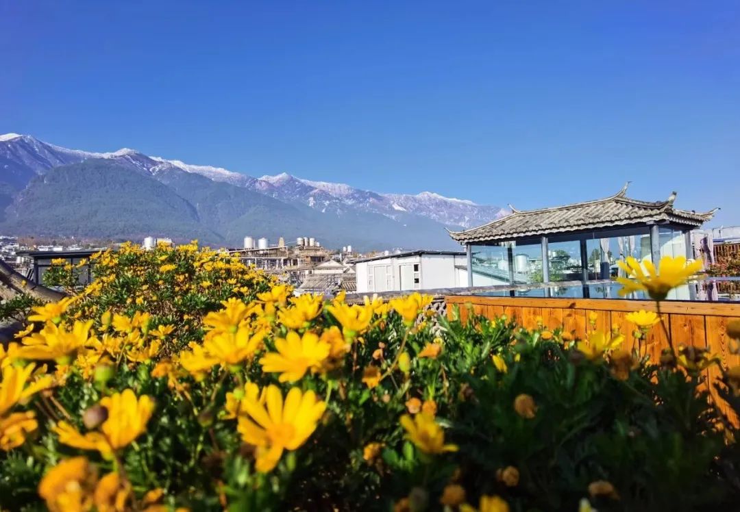 春节云南旅游详细攻略,云南春节旅游攻略最全推荐