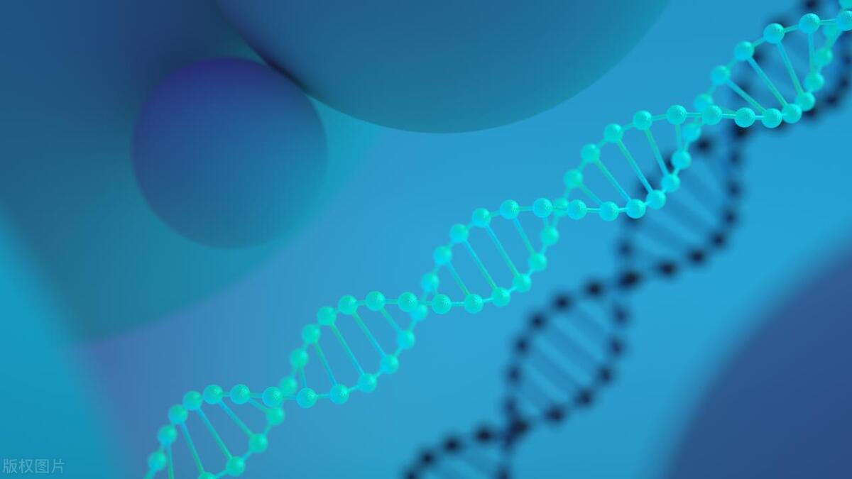 什么是金融科技股票,什么是金融科技人才